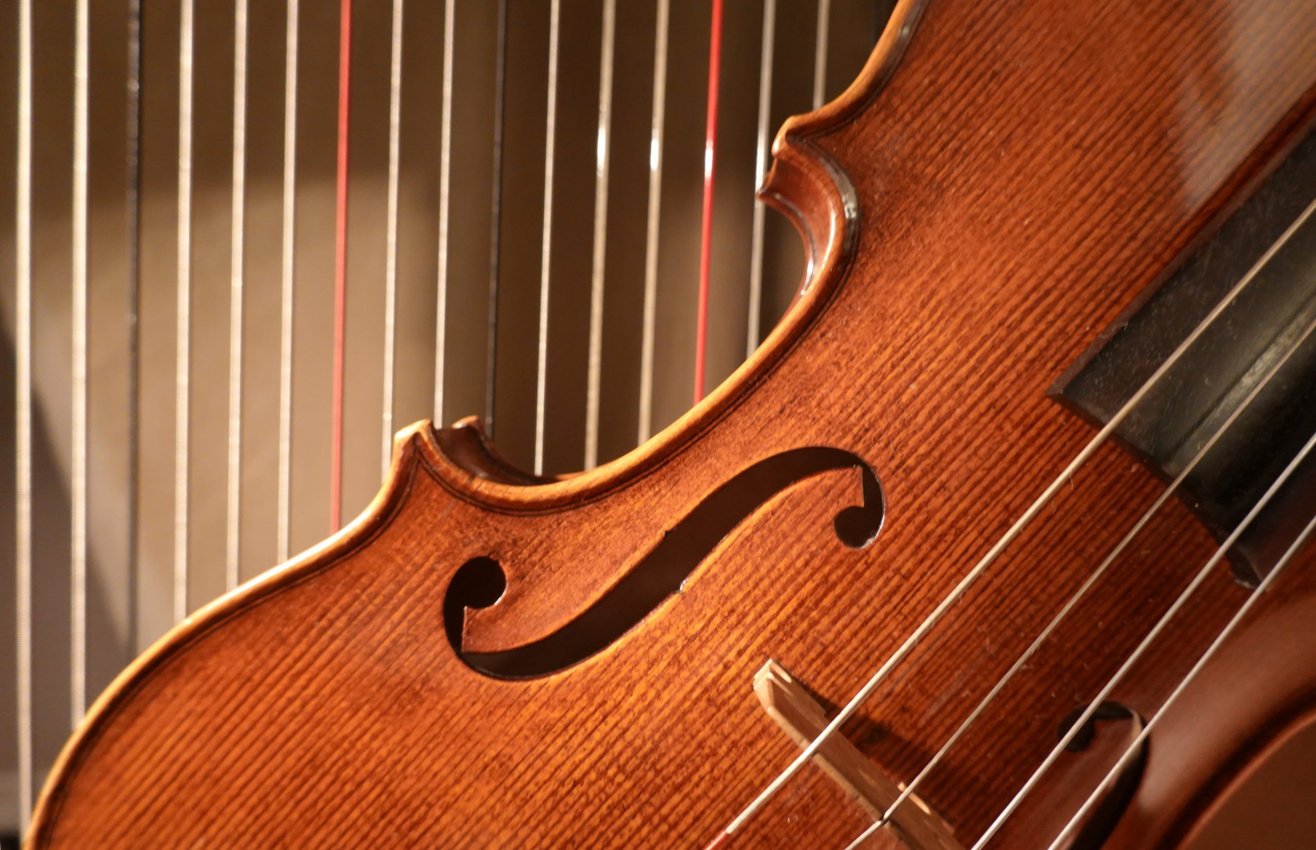 Weihnachten 2024 Orchester